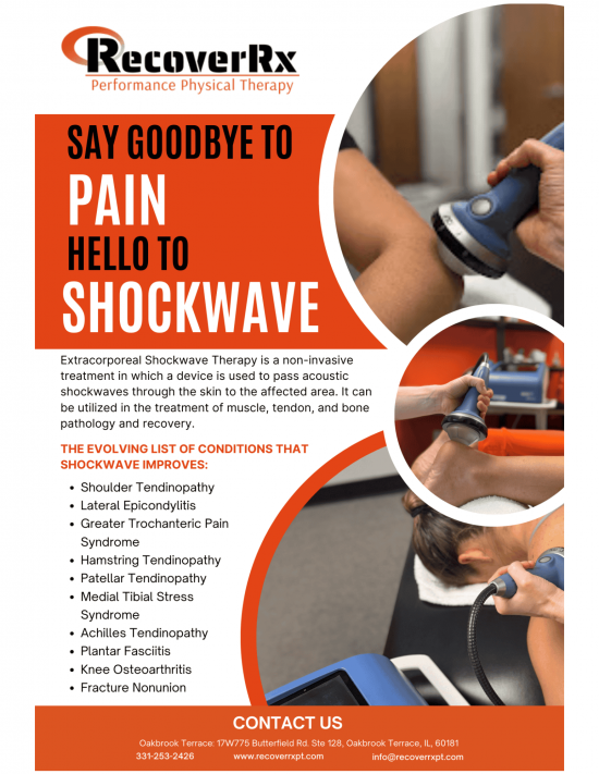 shockwave flyer